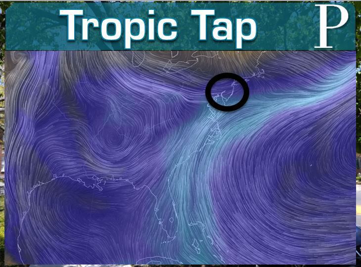 Tropic Tap.JPG